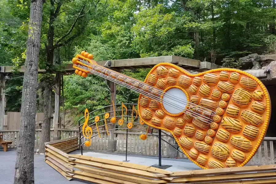 Things to Know Before Moving to Tennessee: Tours